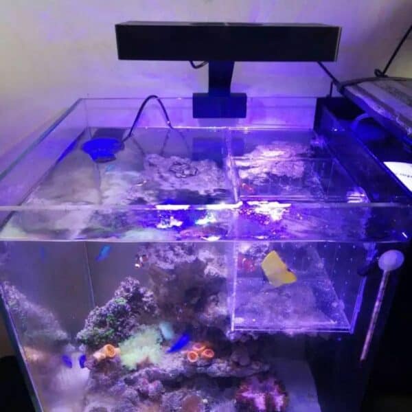 LED Spectra Nano Aquarium Light Aquatica Studio